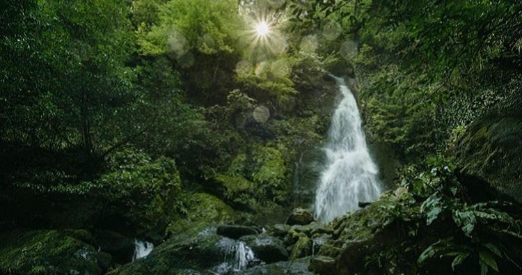 Park Resort Mtirala National Park Chakvistavi Εξωτερικό φωτογραφία